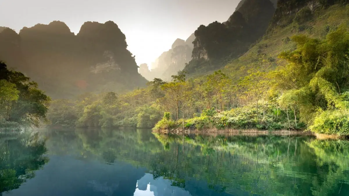 网络化无人化稳定性